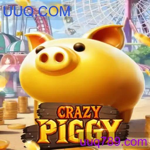 CrazyPiggy